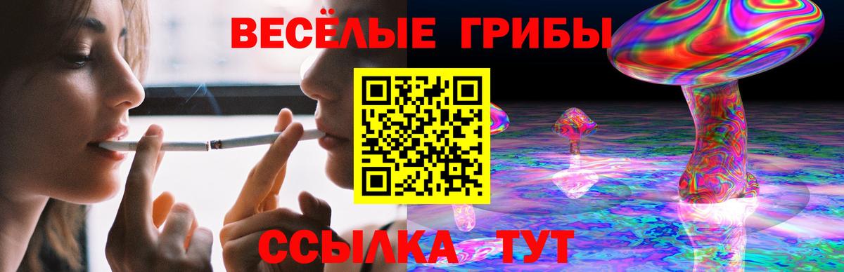 продажа наркотиков  Галлюциногенные грибы прущие грибы  Чебаркуль  Вход с VPN  Галлюциногенные грибы мухоморы 