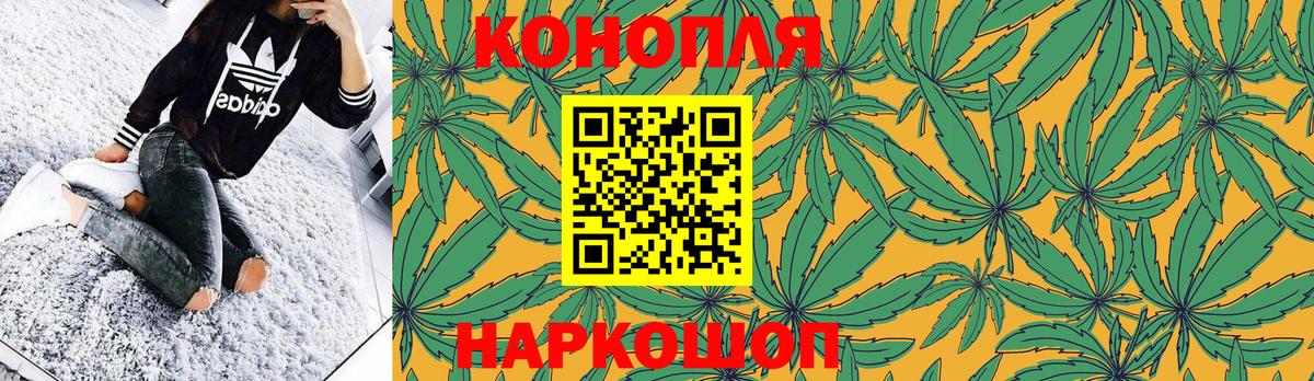 Марихуана сатива Чебаркуль